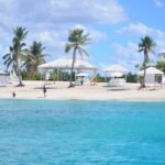 Punta Cana: Catalina Island Day Trip with Snorkeling - Who Will Enjoy This Tour?