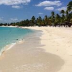 Punta Cana: Catalina Island Diving And Snorkeling - What Could Be Better?