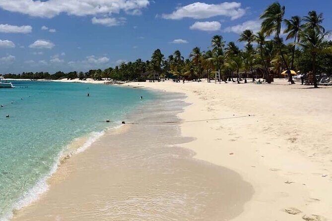 Punta Cana: Catalina Island Diving And Snorkeling - What Could Be Better?