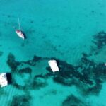 Punta Cana: Catalina Island Snorkeling Tour with Lunch - What This Tour Means for You