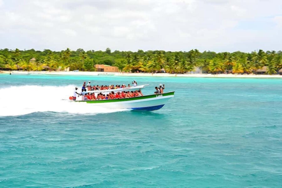 Punta Cana: Catamaran Boat to Saona Island with Buffet Lunch - What Travelers Say: Authentic Feedback