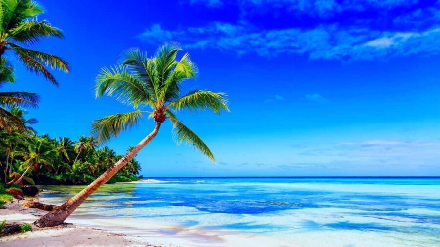 Punta Cana: Catamaran Boat to Saona Island with Buffet Lunch - FAQs