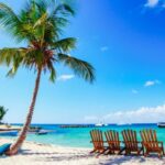 Punta Cana: Catamaran Boat to Saona Island with Buffet Lunch - What the Tour Includes and Practical Tips