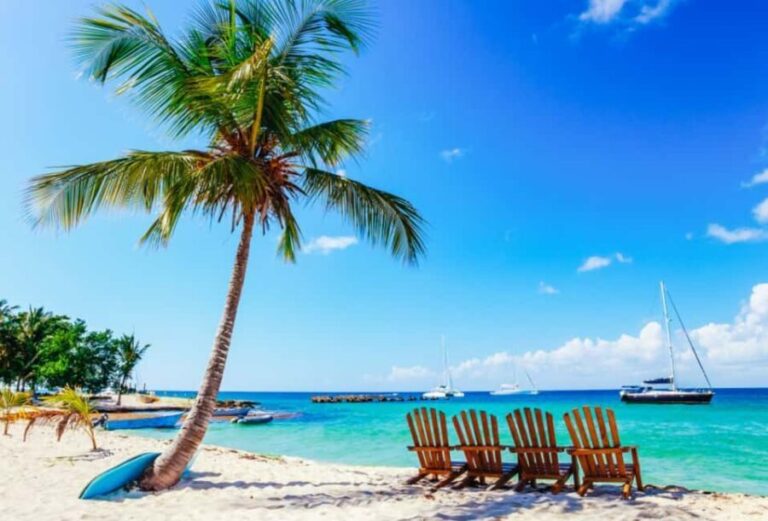 Punta Cana: Catamaran Boat to Saona Island with Buffet Lunch - What the Tour Includes and Practical Tips