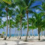 Punta Cana: Catamaran Day Trip to Catalina Island with Lunch - Who Should Consider This Tour?