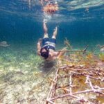 Punta Cana Coral Reef Restoration & Snorkelling Experience - Why This Tour Offers Real Value
