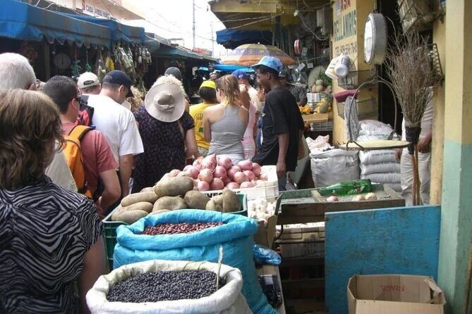Punta Cana Cultural Private Tour to Higüey Basilica and more - Who Will Love This Tour?