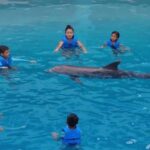 Punta Cana: Dolphin Discovery Park Tour with Hotel Transfers - Who Will Love This Tour?