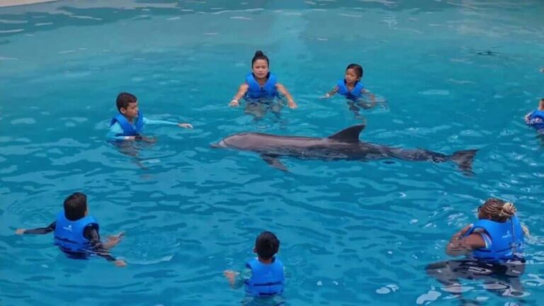 Punta Cana: Dolphin Discovery Park Tour with Hotel Transfers - Who Will Love This Tour?