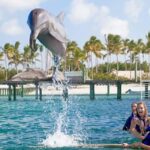 Punta Cana Dolphin Experience: 50 Minutes of Water Fun - Final Thoughts: Is It Worth It?