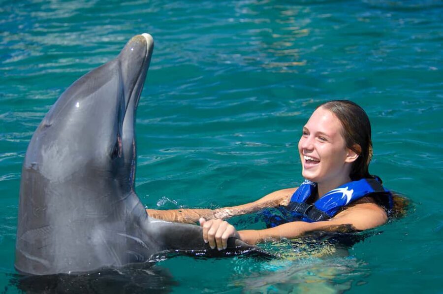 Punta Cana: Dolphin Explorer Swims and Interactions - FAQ