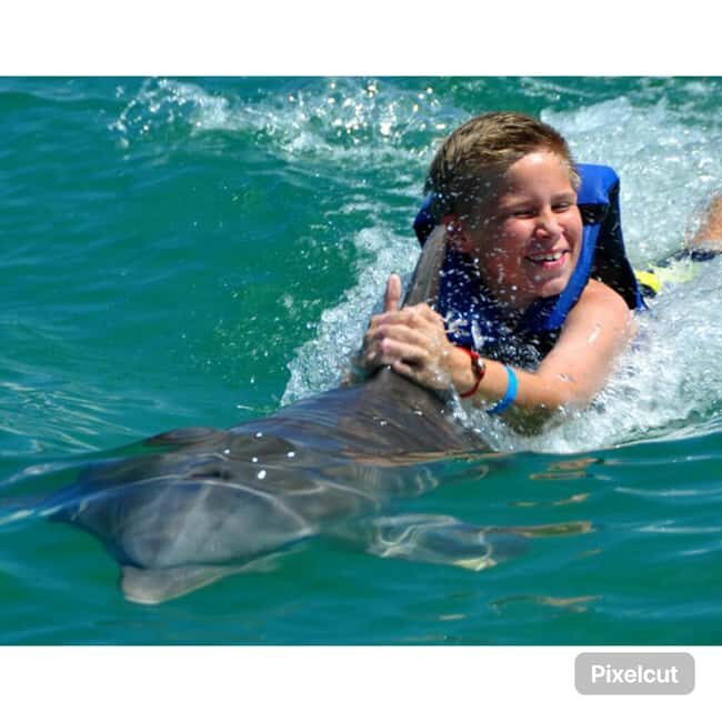 Punta Cana: Dolphin Park Entry and Swim with Dolphins