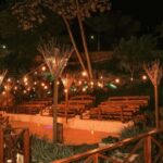 Punta Cana: Evening Buggy Ride, Cenote Swim, Dinner, & Show - An In-Depth Look at the Tour Experience