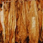 Punta Cana: Excursion to Higuey, Basilica, tobacco factory, and local market - Practical Details and Tips