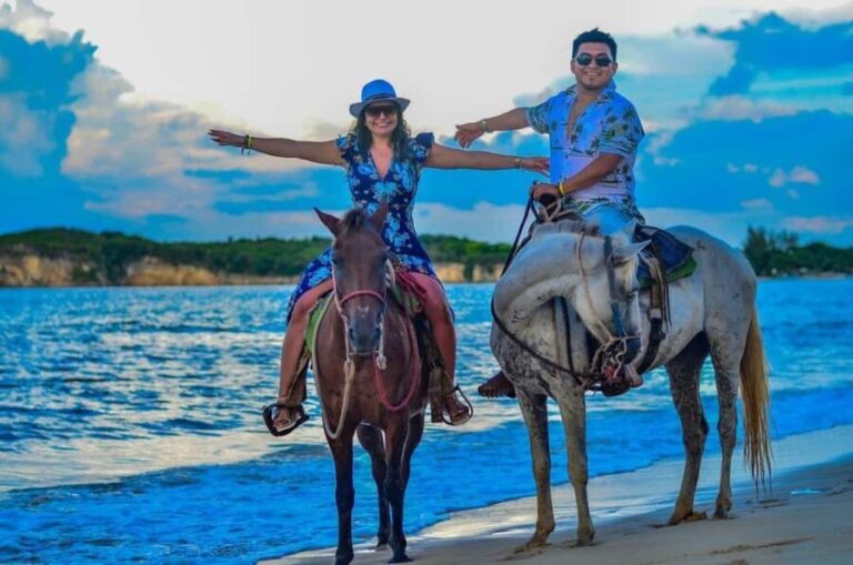 Punta Cana: Guided Horseback Tour of Beaches and Fields - An In-Depth Look at the Horseback Experience in Punta Cana