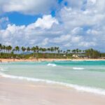 Punta Cana Guided Tour with Tastings and Macao Beach - How the Tour Fits Together: Why It’s a Good Value