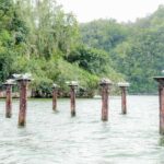 Punta Cana: Haitises, Cano Hondo, Redonda Mountain Day Trip - Why It Works for You