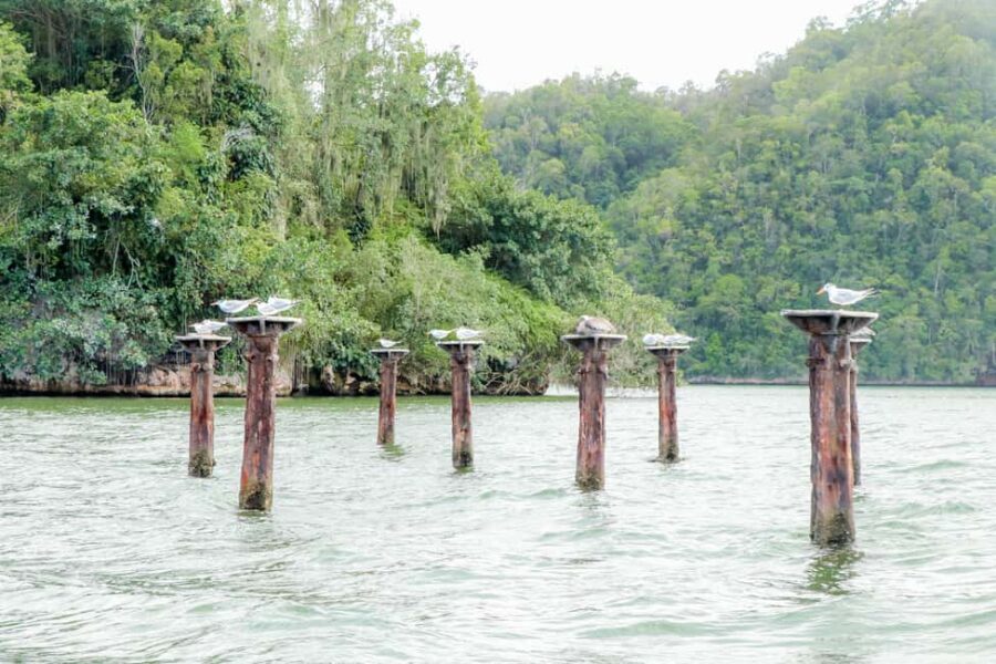 Punta Cana: Haitises, Cano Hondo, Redonda Mountain Day Trip - Why It Works for You