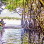 Punta Cana: Haitises, Montaña R. & Horse Ride Limón Beach - The Practicalities of the Tour