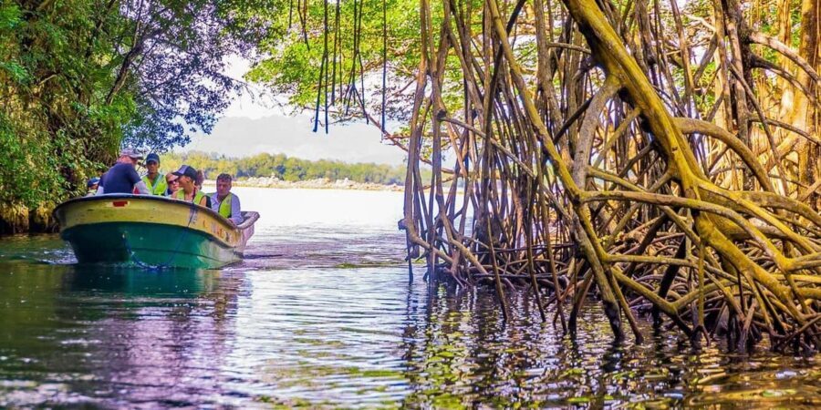 Punta Cana: Haitises, Montaña R. & Horse Ride Limón Beach - The Practicalities of the Tour
