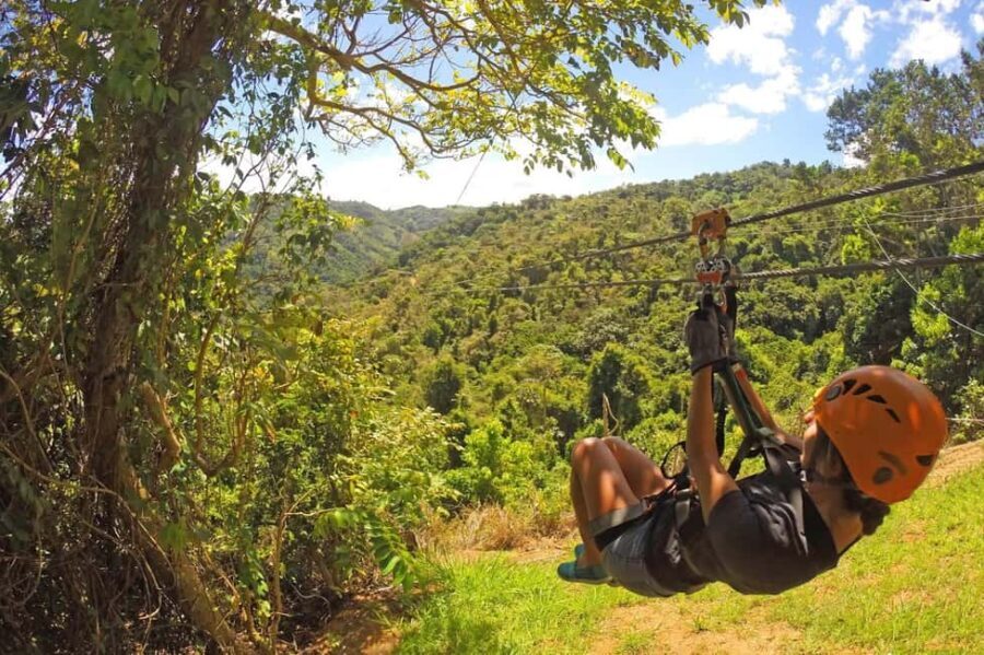 Punta Cana Half Day Tour Zip Line - What Makes This Tour Stand Out?