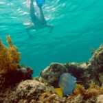 Punta Cana Happy Hour Sailing Cruise - Exploring the Itinerary in Detail