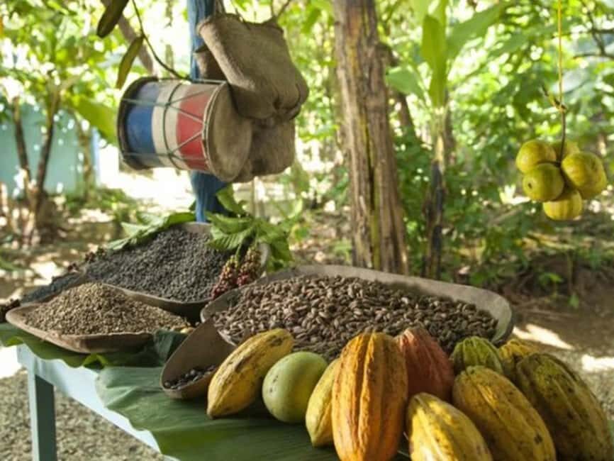 Punta Cana: Higuey Tour Excursion Cultural - A Closer Look at the Tour Itinerary