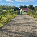 Punta Cana Horse Riding for Beaches in Field - FAQ