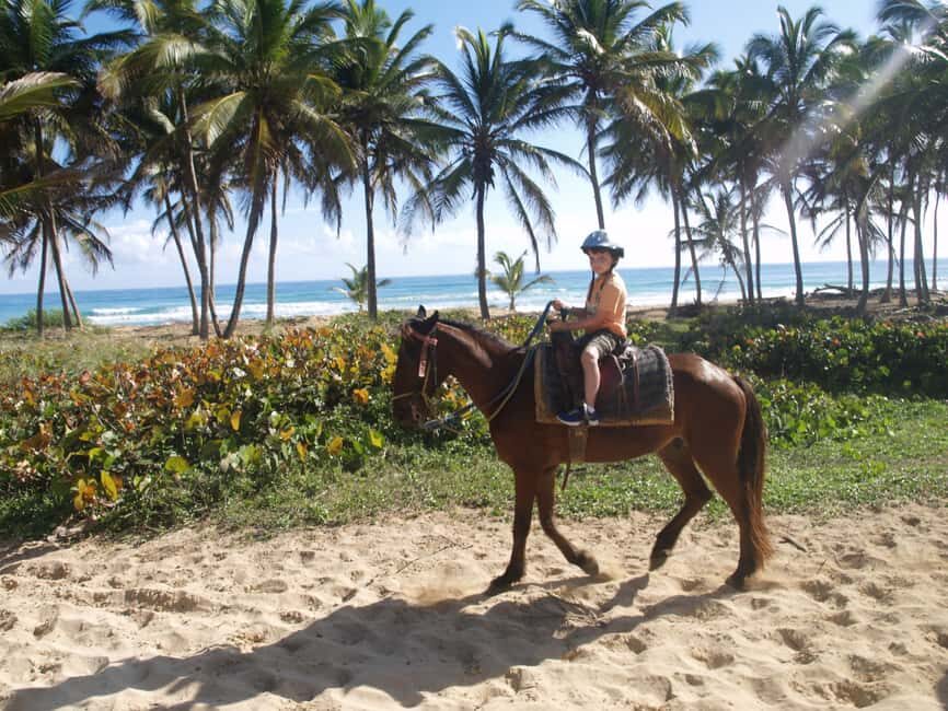 Punta Cana: Horseback Ride to Macao Beach - Is This Tour Right for You?