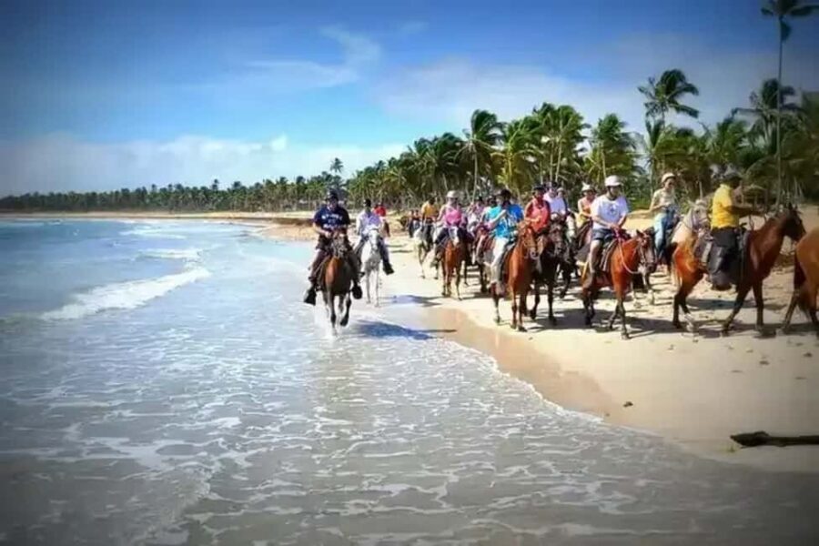 Punta Cana: Horseback Riding Adventure with Transfers - Price and Value