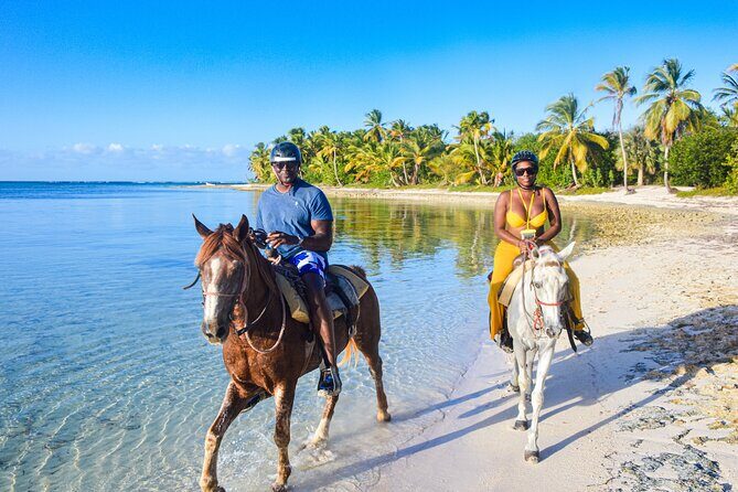Punta Cana Horseback Riding Adventure - Detailed Breakdown of the Itinerary
