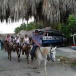 Punta Cana Horseback Riding on the Beach - Authentic Experiences and Value