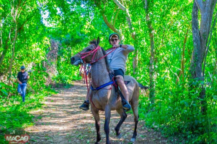 Punta Cana Horseback riding & Sunset + beach + free pick-up - Authenticity & Real-World Traveler Insights