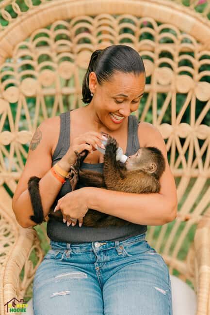 Punta Cana: Interactive Experience at Monkey House - What Travelers Are Saying