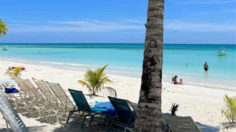 Punta Cana: Island escape to catalina snorkeling & lunch - A Detailed Look at the Tour Experience