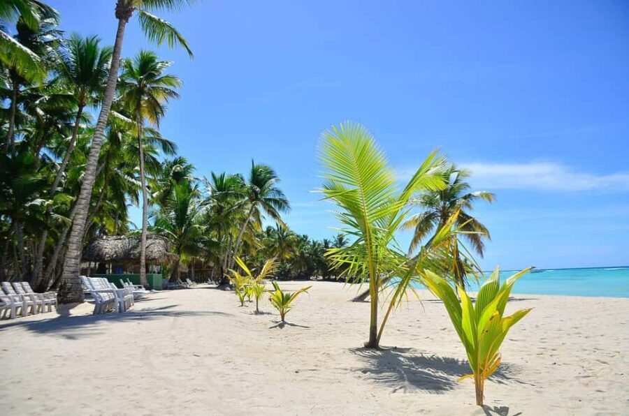 Punta cana: Island Escape to Saona  catamaran & Beach lunch