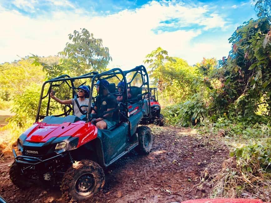 Punta Cana: Jungle Buggy Tour with Monkeyland Visit - Practical Details and Value
