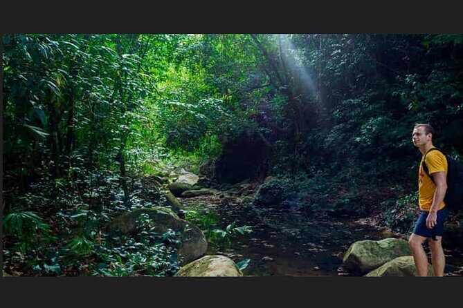 Punta Cana: Los Haitises Hike & Kayaking Mangroves - A Closer Look at the Tour Experience