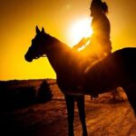 Punta Cana: Los Haitises Horses riding + Montana redonda - The Value of This Tour
