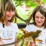 Punta Cana: Monkey Land Half-Day Safari and Plantation - A Comprehensive Look at the Monkey Land Tour