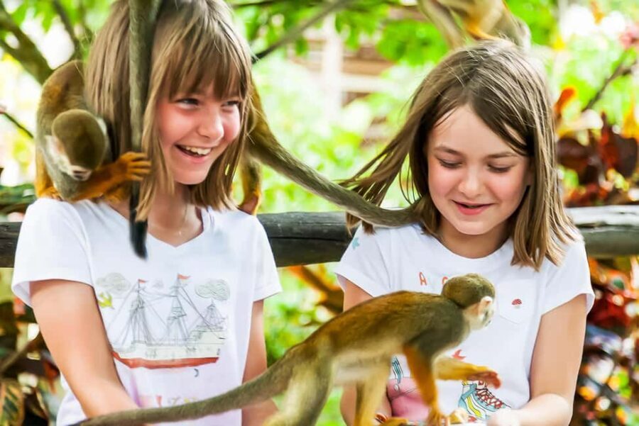 Punta Cana: Monkey Land Half-Day Safari and Plantation - A Comprehensive Look at the Monkey Land Tour