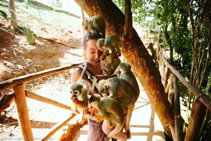 Punta Cana: Monkey Land Tour with Hotel Pickup - Who Will Love This Tour?
