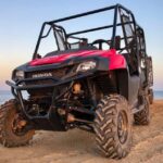 Punta Cana: Nighttime Buggy Ride, Cenote Swim and dinner - What Makes This Tour Stand Out?