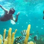 Punta Cana: Party Boat and Snorkeling Adventure - Real Traveler Insights