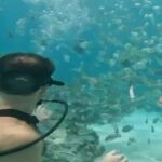 Punta Cana Party Cruise with Snorkeling, Hooka Diving and Parasailing - What Our Reviewers Say