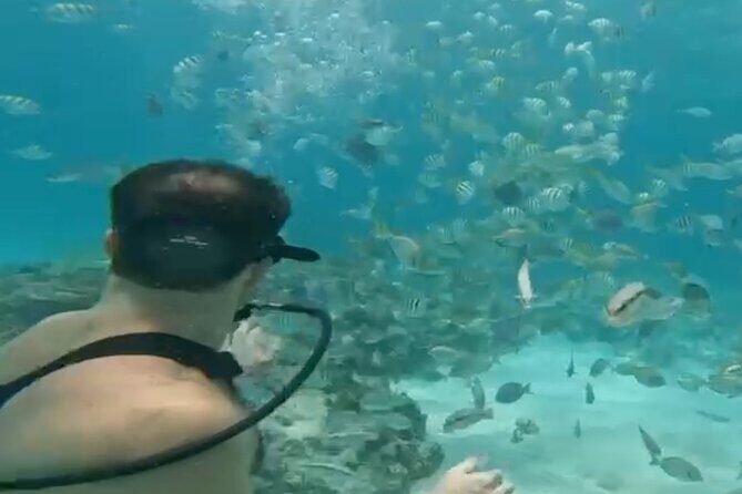 Punta Cana Party Cruise with Snorkeling, Hooka Diving and Parasailing