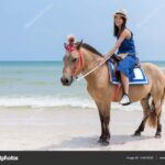 Punta Cana: Private Buggy, Horseback, Zipline & Catamaran - A Closer Look at the Tour Experience