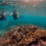 Punta Cana Private Catamaran Cruise: Snorkeling, Beach & BBQ - A Deep Dive into the Punta Cana Private Catamaran Experience