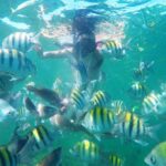 Punta Cana Private Cruise Up To 10 Snorkeling & Seafood lunch - The Sum Up