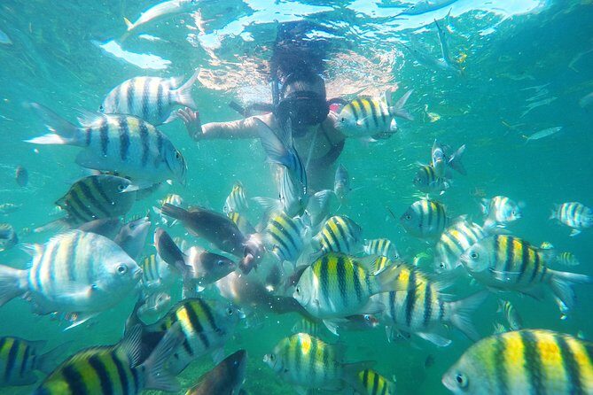 Punta Cana Private Cruise Up To 10 Snorkeling & Seafood lunch - The Sum Up